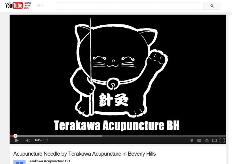Explaining about Acupuncture Needles